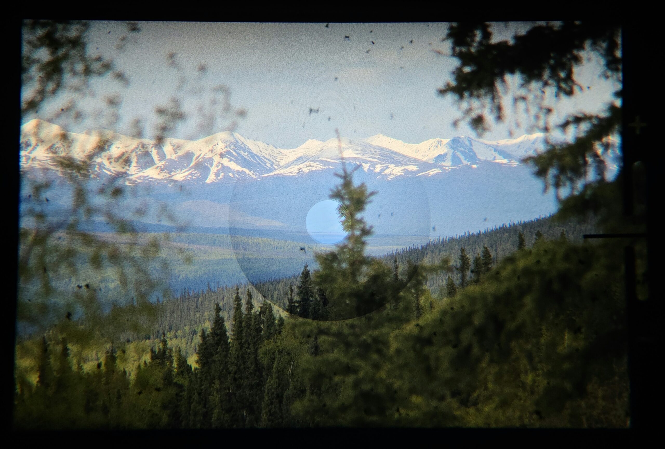 Background